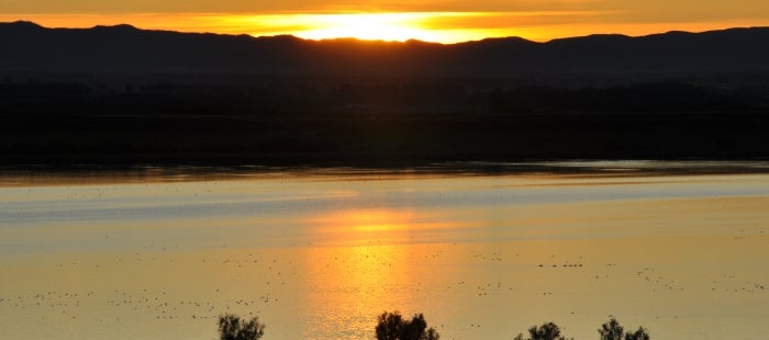 Visitas guiadas en la Laguna de Gallocanta Visitas guiadas en la Laguna de Gallocanta
