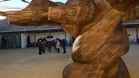 La vid se sitúa en el patio del Museo del Vino La vid se sitúa en el patio del Museo del Vino