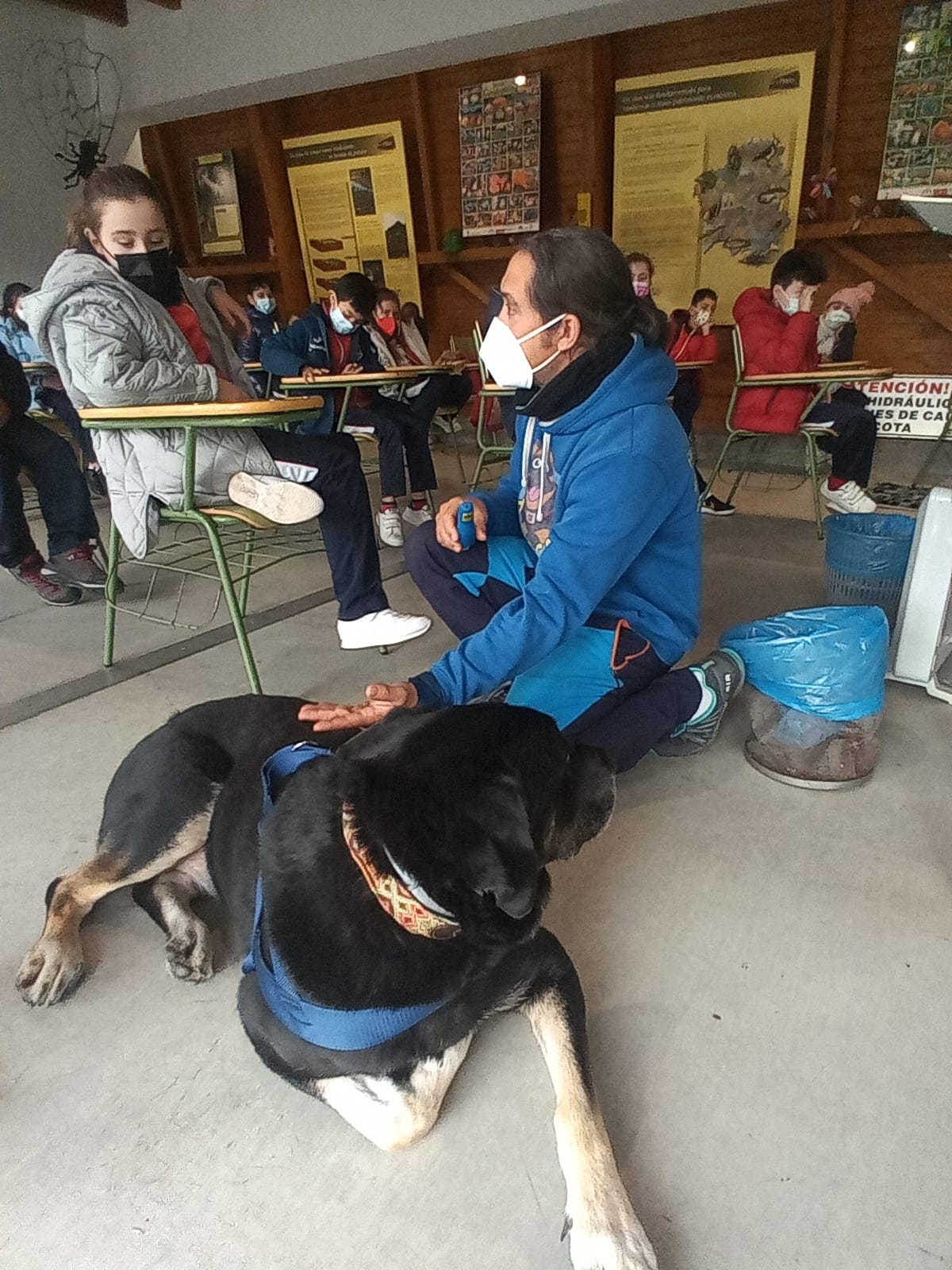O Concello pon en marcha un ciclo de obradoiros para escolares sobre as mascotas O Concello pon en marcha un ciclo de obradoiros para escolares sobre as mascotas