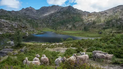 A Deputación lidera un proxecto sostible na Reserva da biosfera Gerês-Xurés A Deputación lidera un proxecto sostible na Reserva da biosfera Gerês-Xurés