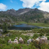 A Deputación lidera un proxecto sostible na Reserva da biosfera Gerês-Xurés A Deputación lidera un proxecto sostible na Reserva da biosfera Gerês-Xurés