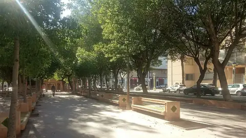 Avenida de la Libertad de Elche. Avenida de la Libertad de Elche.