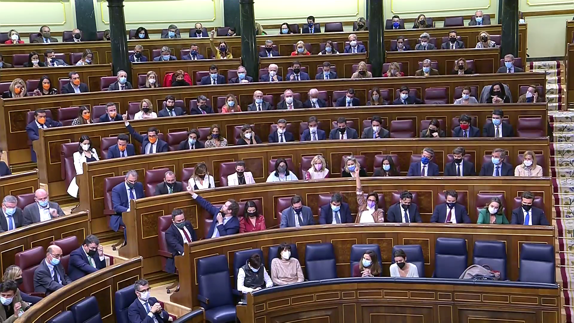 El PP recurre al Tribunal Constitucional el "atropello" de la votación de la reforma laboral: "Se conculcó el derecho de Alberto Casero" El PP recurre al Tribunal Constitucional el "atropello" de la votación de la reforma laboral: "Se conculcó el derecho de Alberto Casero"