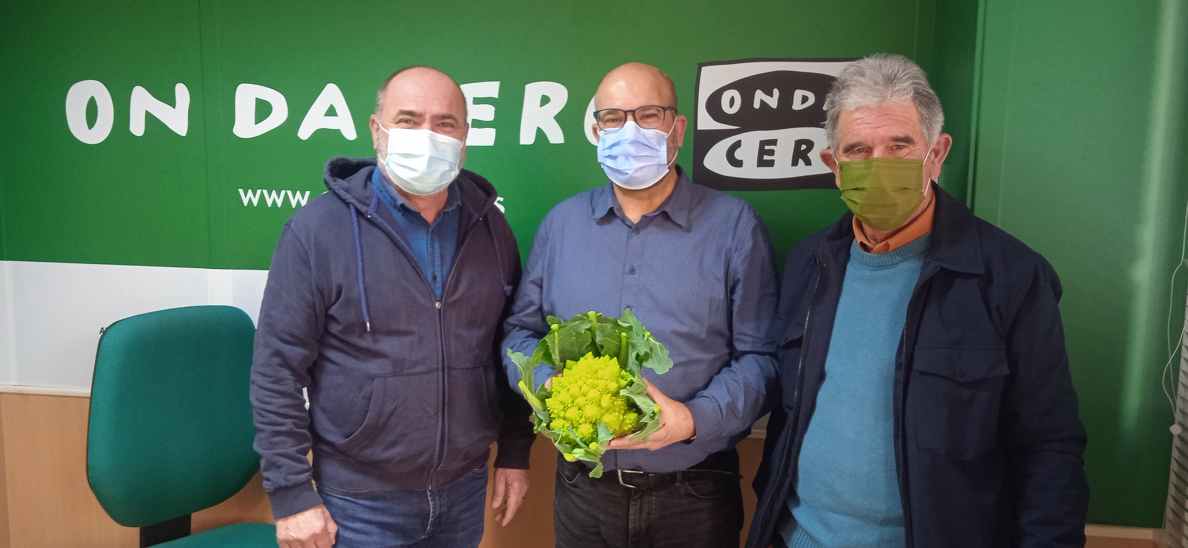 El Camp d'Elx exporta a Europa el 50% de su producción de hortalizas de invierno El Camp d'Elx exporta a Europa el 50% de su producción de hortalizas de invierno