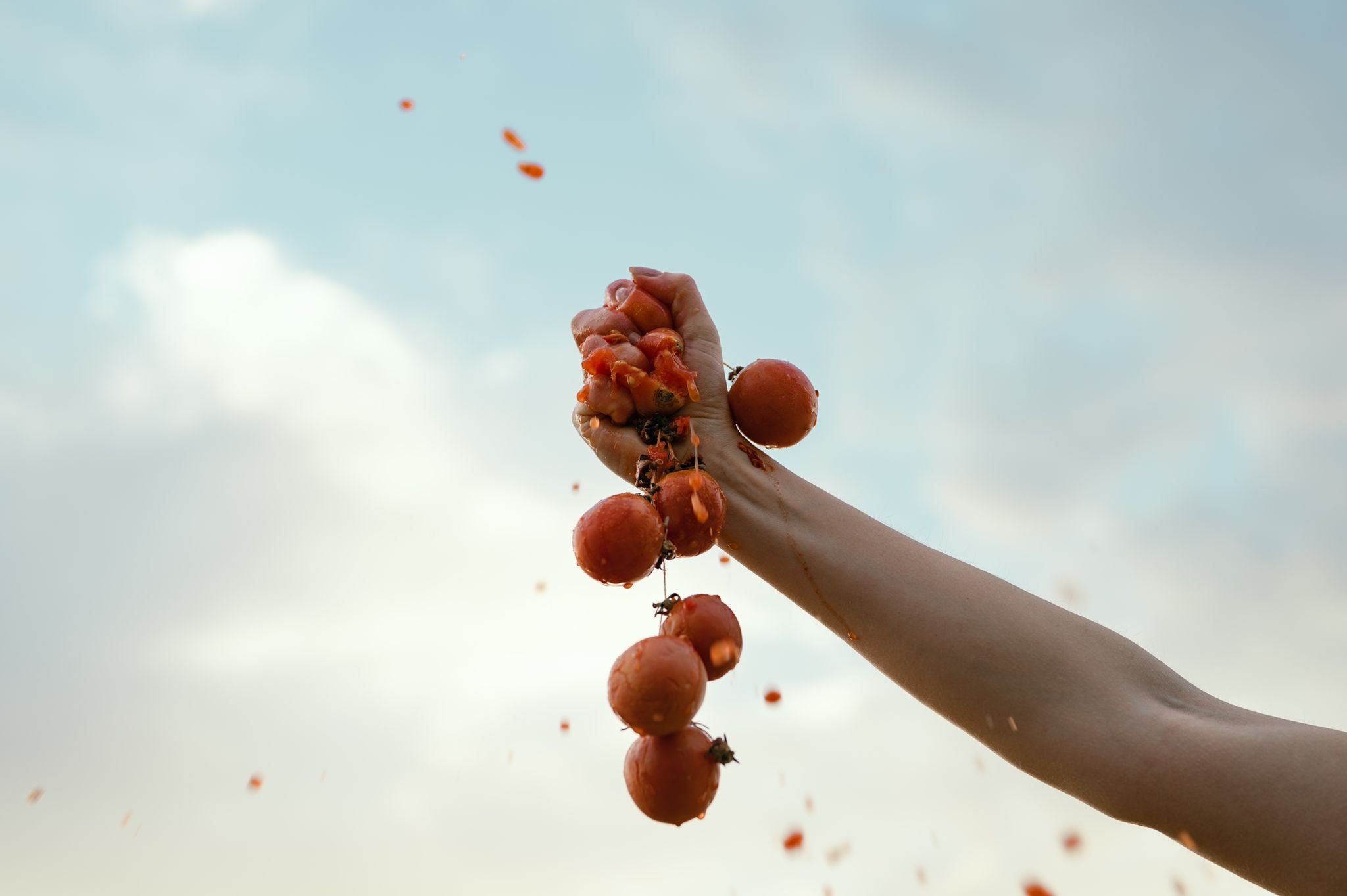 Las empresas gastro-agrarias y turísticas de 19 municipios alegan contra las 472 hectáreas fotovoltaicas y la MAT Las empresas gastro-agrarias y turísticas de 19 municipios alegan contra las 472 hectáreas fotovoltaicas y la MAT