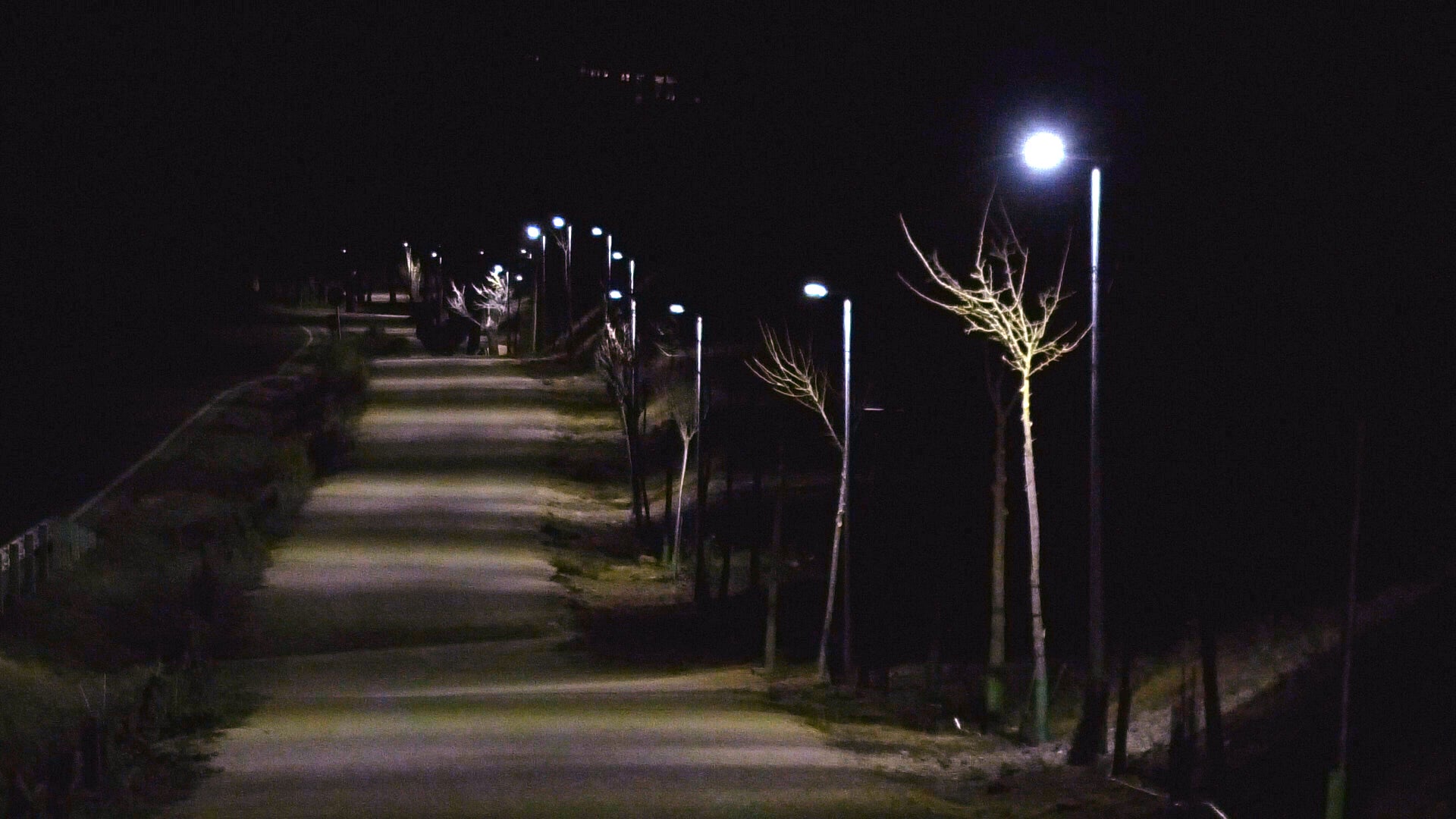 El Camino de San Isidro ya está iluminado para disfrute de sus vecinos El Camino de San Isidro ya está iluminado para disfrute de sus vecinos