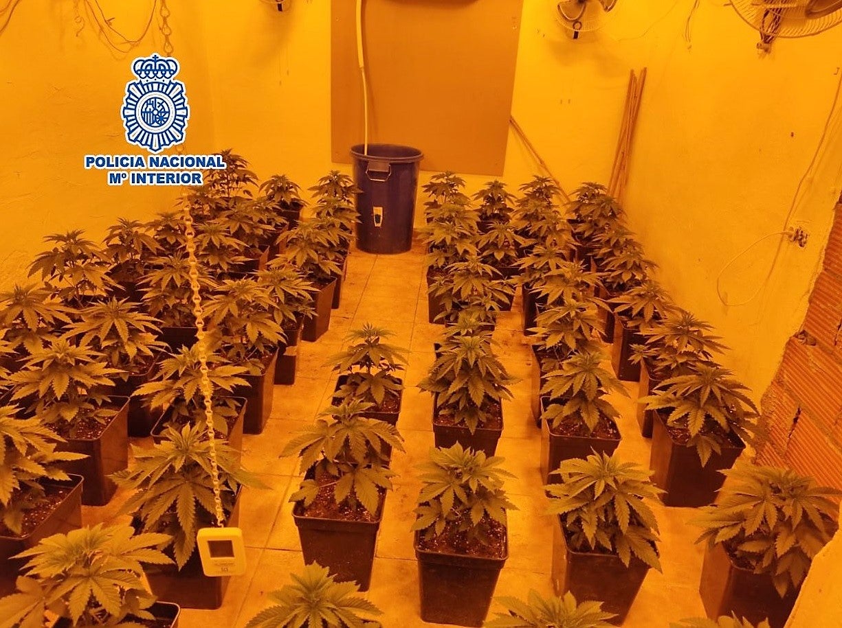 La Policía Nacional detiene en Elda y Petrer a cuatro personas por tráfico de drogas La Policía Nacional detiene en Elda y Petrer a cuatro personas por tráfico de drogas