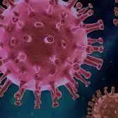 Coronavirus. Coronavirus.