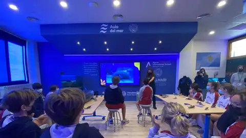 El proyecto "Aula del mar", del Colegio Ágora Portals International School, ha recibido el Premio Onda Cero Mallorca del Medio Ambiente. El proyecto "Aula del mar", del Colegio Ágora Portals International School, ha recibido el Premio Onda Cero Mallorca del Medio Ambiente.