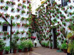 Los patios superan las 800.000 visitas en la edición pos pandemia Los patios superan las 800.000 visitas en la edición pos pandemia