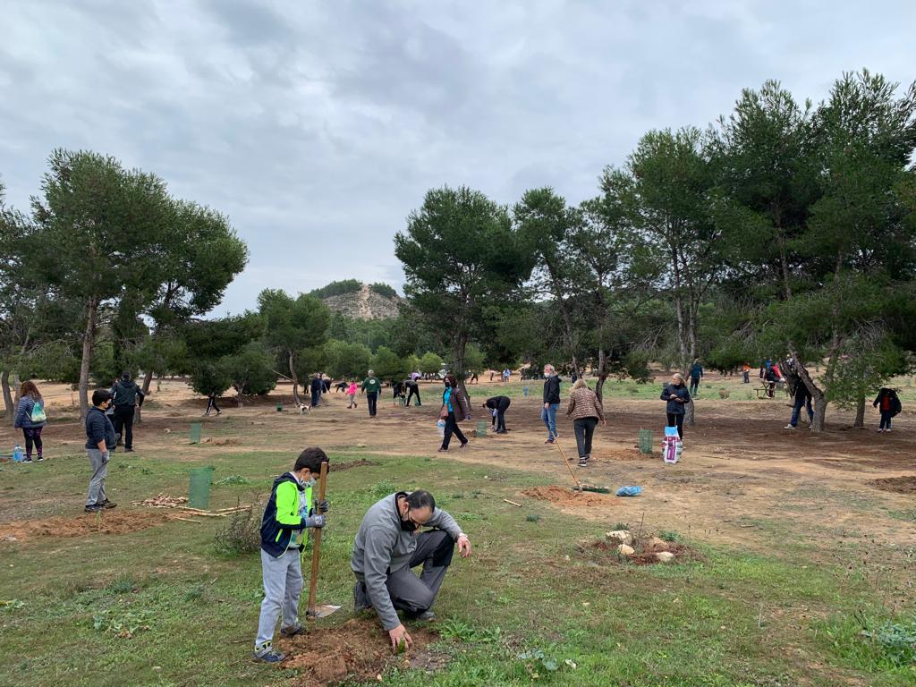 Benejúzar reforesta el paraje de la Pilarica con motivo de la conmemoración del Día del Árbol Benejúzar reforesta el paraje de la Pilarica con motivo de la conmemoración del Día del Árbol