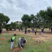 Benejúzar reforesta el paraje de la Pilarica con motivo de la conmemoración del Día del Árbol     
