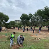 Benejúzar reforesta el paraje de la Pilarica con motivo de la conmemoración del Día del Árbol Benejúzar reforesta el paraje de la Pilarica con motivo de la conmemoración del Día del Árbol
