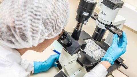 Más de 500 investigadores aragoneses podrían perder su derecho a indemnización si no se corrige el borrador de la Ley de Ciencia