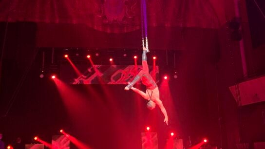 Festival Internacional del Circo