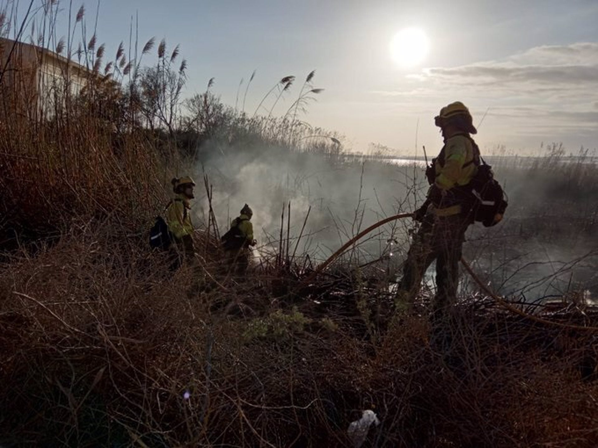 El incendio forestal en el paraje natural Punta Entinas-Sabinar arrasa 4,5 hectáreas de cañas y carrizo El incendio forestal en el paraje natural Punta Entinas-Sabinar arrasa 4,5 hectáreas de cañas y carrizo