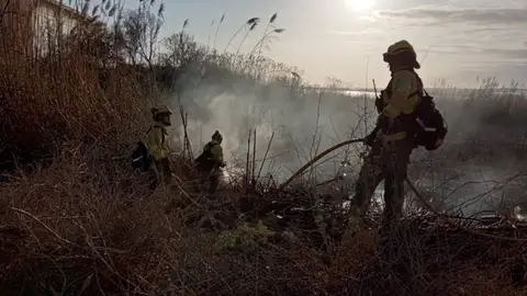 El incendio forestal en paraje natural Punta Entinas-Sabinar calcina 4,5 hectáreas de cañas y carrizo ONDA CERO ALMERIA