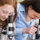 Este viernes se celebra el Día de la Mujer y la Niña en la Ciencia
