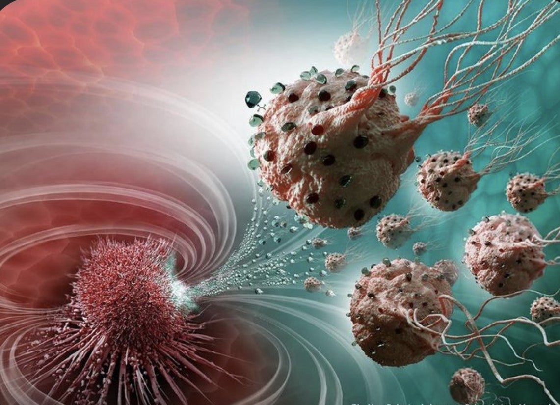 La medicina personalizada será vital en la prevención, el diagnóstico y el tratamiento del cáncer La medicina personalizada será vital en la prevención, el diagnóstico y el tratamiento del cáncer