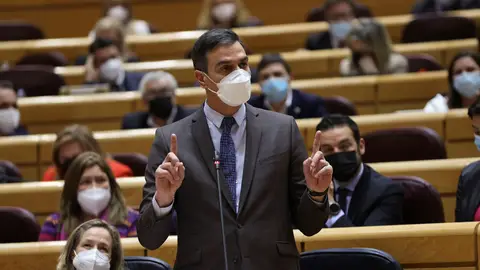 El presidente del Gobierno, Pedro Sánchez durante su intervención en el Senado. El presidente del Gobierno, Pedro Sánchez durante su intervención en el Senado.