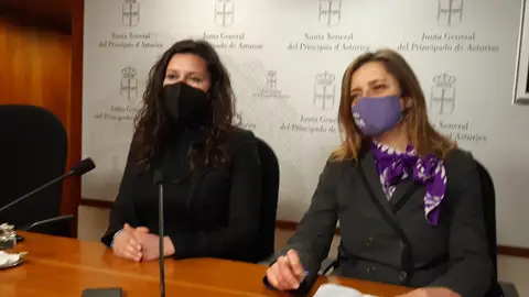 Podemos y Somos exigen la construcción del vial comprometido Podemos y Somos exigen la construcción del vial comprometido