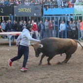 Alcora recuperará los `bous al carrer´ y el Mesón de la Tapa en la Pasqua Taurina Alcora recuperará los `bous al carrer´ y el Mesón de la Tapa en la Pasqua Taurina