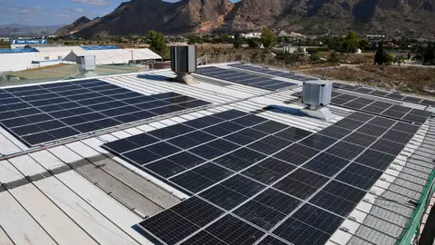 El Matadero de Orihuela gana el premio ANICE a la "sostenibilidad" fotovoltaica