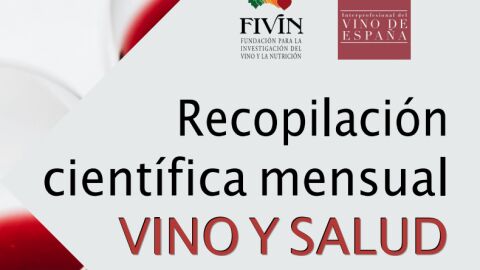 Documentaci&oacute;n presentada por AIVE en Europa