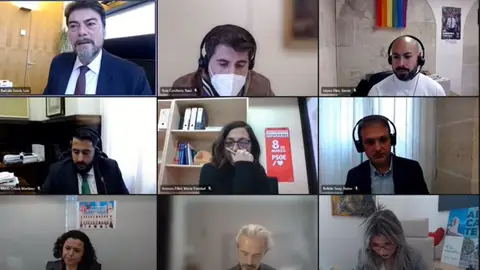 El pleno ha sido telemático a pesar de las peticiones de la oposición de que fuera presencial El pleno ha sido telemático a pesar de las peticiones de la oposición de que fuera presencial