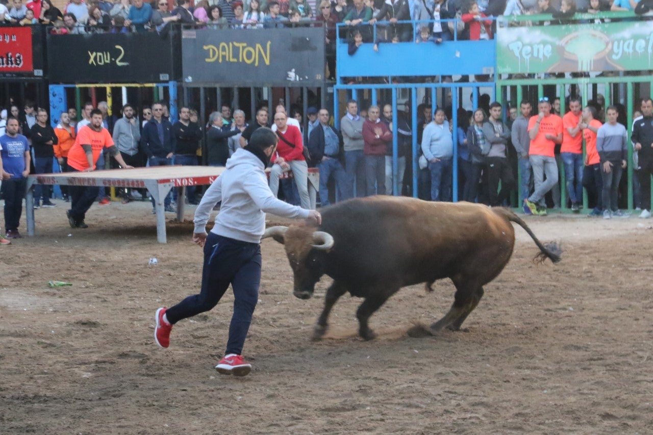 Alcora recuperará los `bous al carrer´ y el Mesón de la Tapa en la Pasqua Taurina Alcora recuperará los `bous al carrer´ y el Mesón de la Tapa en la Pasqua Taurina