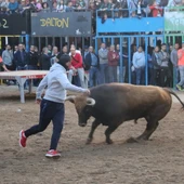 L'Alcora, una de las localidades con más festejos taurinos de la provincia de Castellón L'Alcora, una de las localidades con más festejos taurinos de la provincia de Castellón
