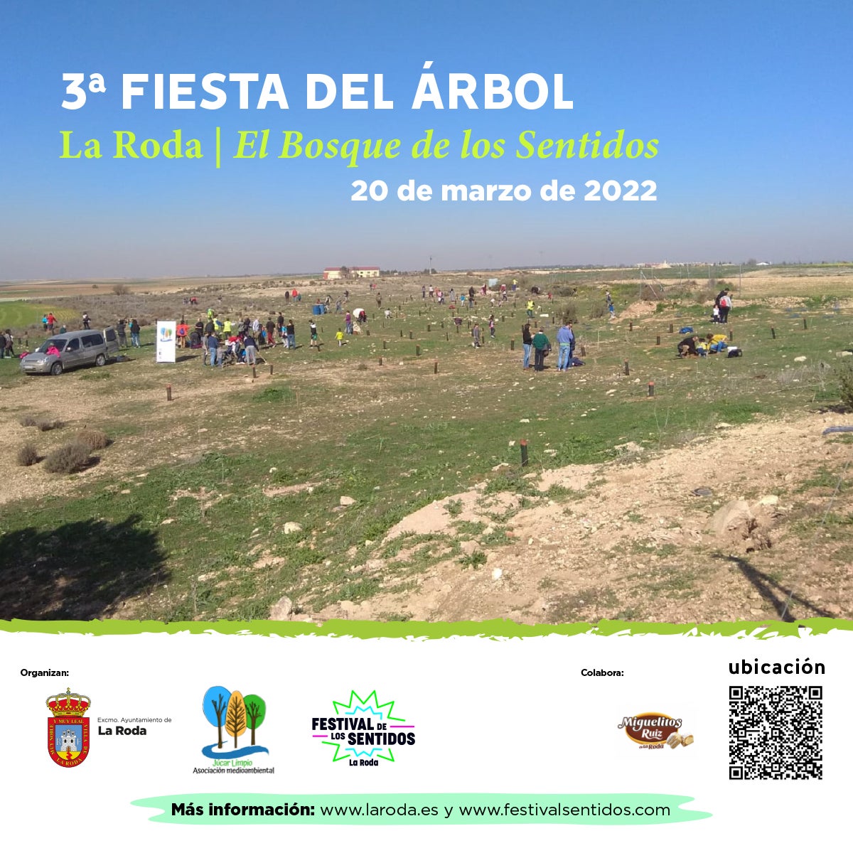 Vuelve la Fiesta del Árbol con público a La Roda Vuelve la Fiesta del Árbol con público a La Roda