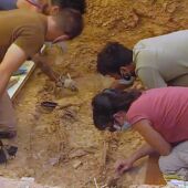 Excavación
