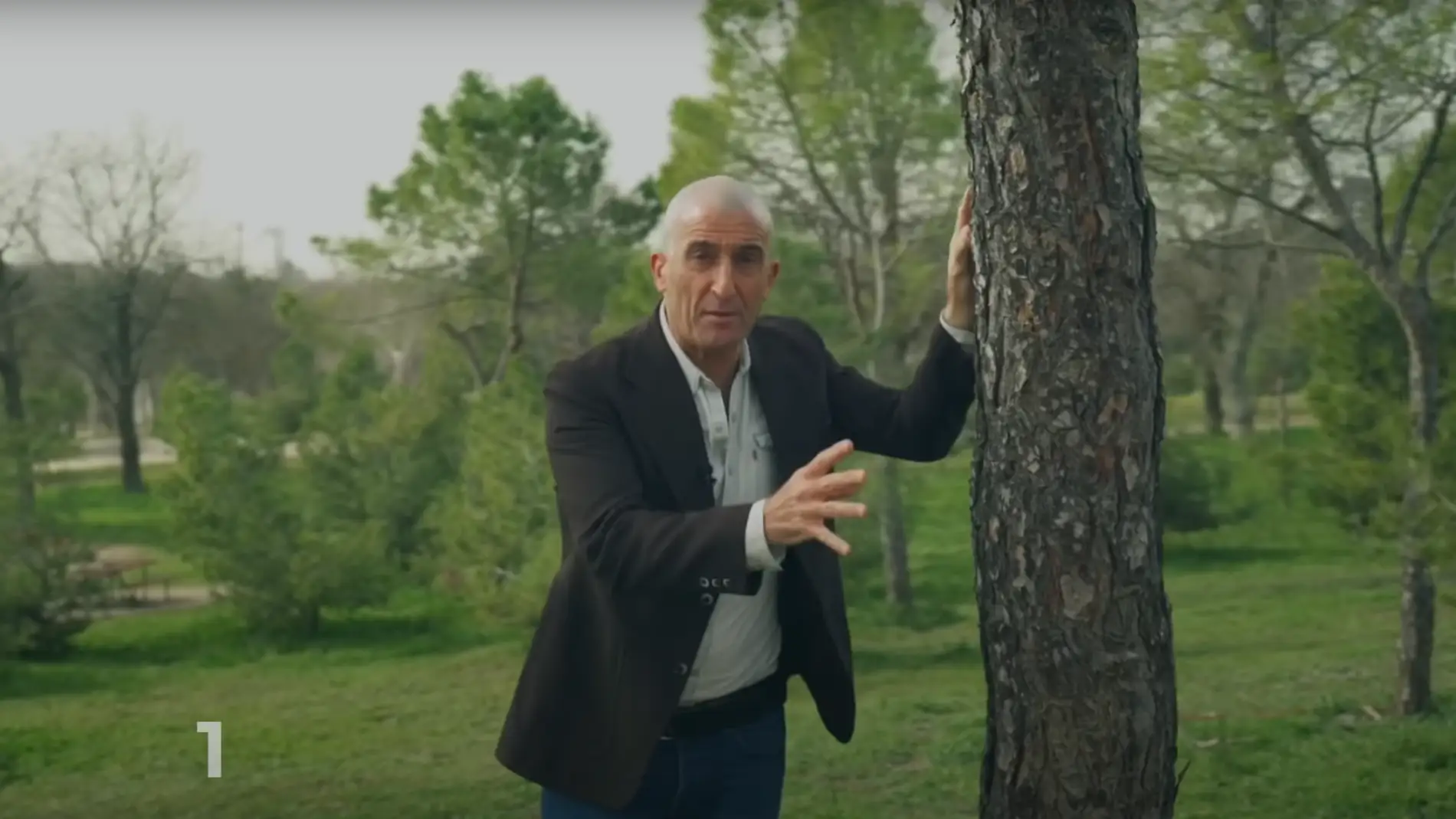 Imagen del vídeo promocional de Luis Zahera donde anima a votar por el carballo de Conxo.