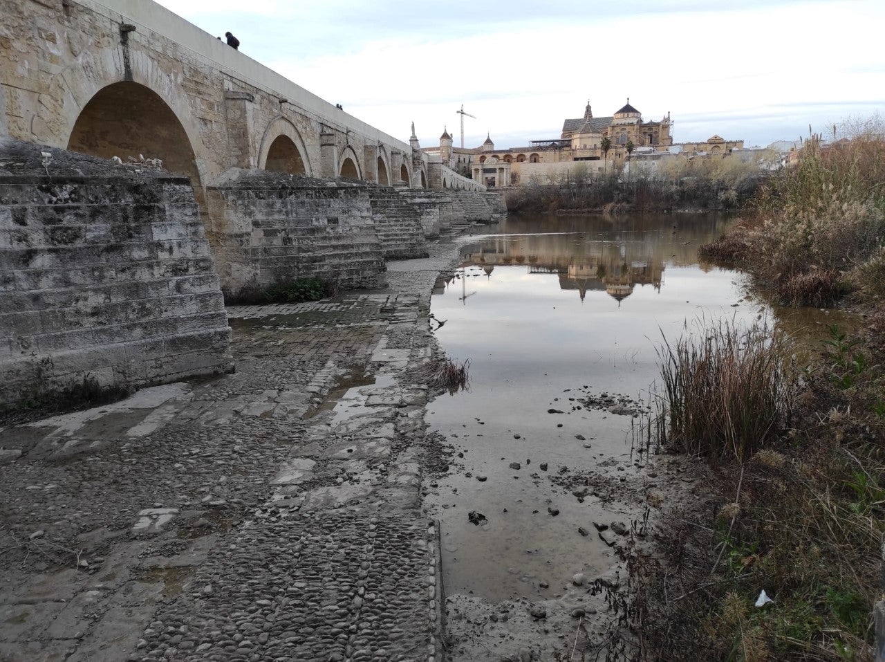 Joaquín Paez, presidente de la CHG: "es necesario ser conservadores y realistas en nuestras previsiones para la campaña de riego del 2022" Joaquín Paez, presidente de la CHG: "es necesario ser conservadores y realistas en nuestras previsiones para la campaña de riego del 2022"