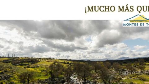 Grupo de Desarrollo Rural Montes de Toledo