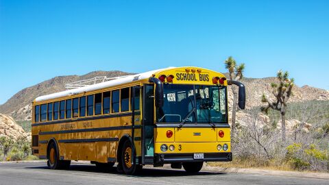 Foto de archivo de un autob&uacute;s escolar