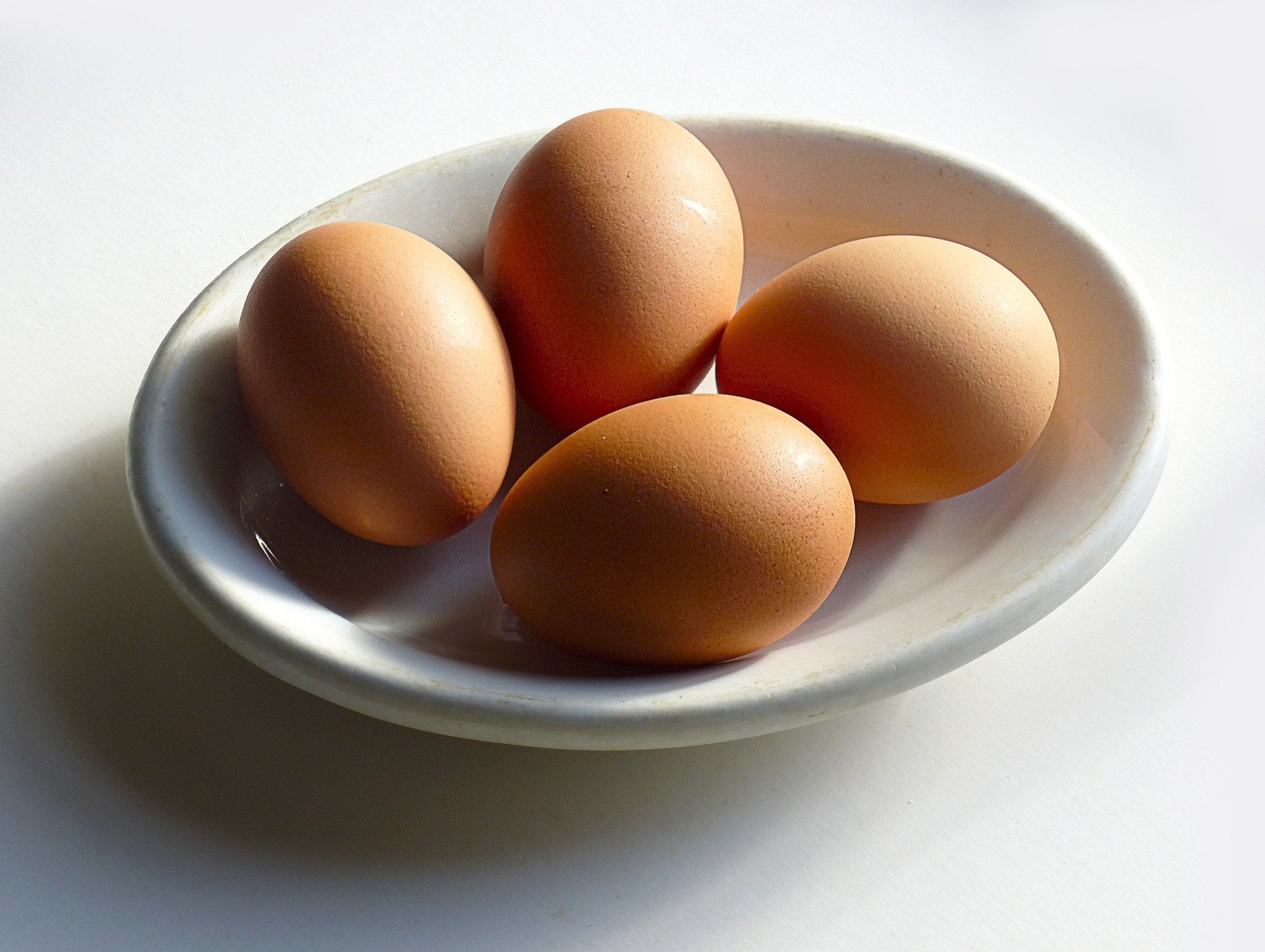 Fronteras del Futuro: Huevos veganos Fronteras del Futuro: Huevos veganos
