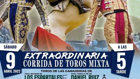 toros toros