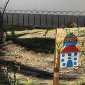 Ecoescuelas Ecoescuelas