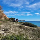 Medio Ambiente realiza actuaciones para proteger las dunas del litoral de Orihuela Medio Ambiente realiza actuaciones para proteger las dunas del litoral de Orihuela