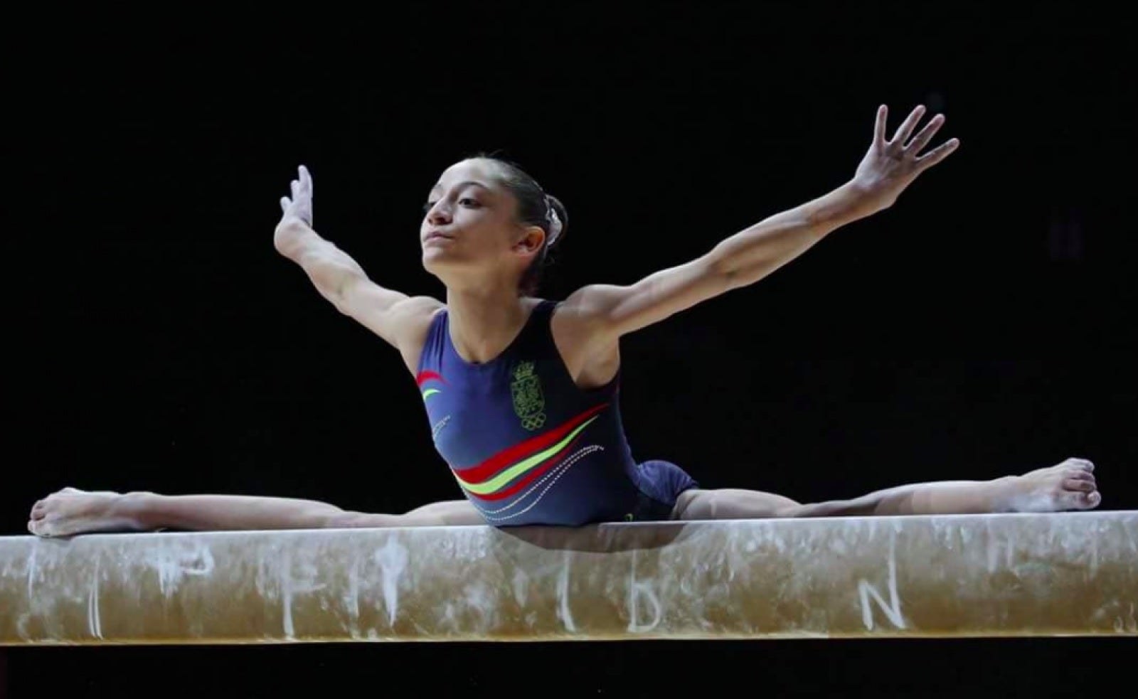 Elche acoge este sábado el XXI Trofeo Internacional de Gimnasia Artística Elche acoge este sábado el XXI Trofeo Internacional de Gimnasia Artística