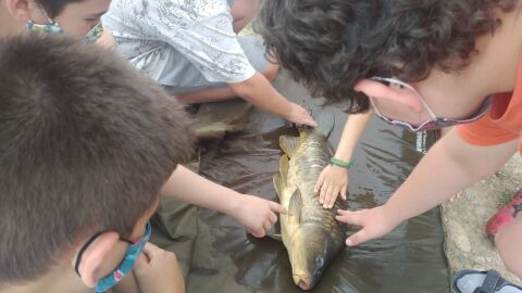 Escola Municipal Espec&iacute;fica de pesca