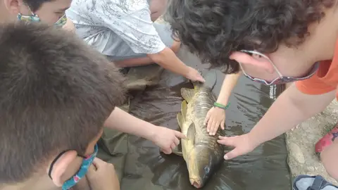 Escola Municipal Específica de pesca Escola Municipal Específica de pesca