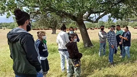 Jóvenes agricultores y agricultoras Juntaex