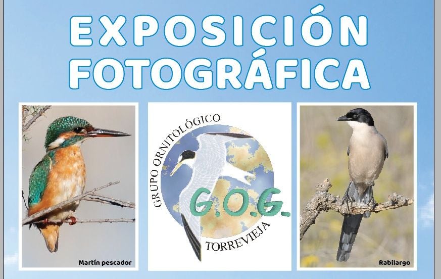 Viernes 18 de febrero inauguración de la exposición fotografica 'Conociendo las Aves' Viernes 18 de febrero inauguración de la exposición fotografica 'Conociendo las Aves'