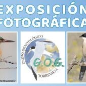Viernes 18 de febrero inauguración de la exposición fotografica 'Conociendo las Aves' 