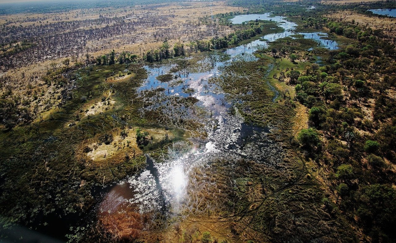 Ciencia en La Brújula: El milagro del Okavango, el único delta alejado del mar Ciencia en La Brújula: El milagro del Okavango, el único delta alejado del mar