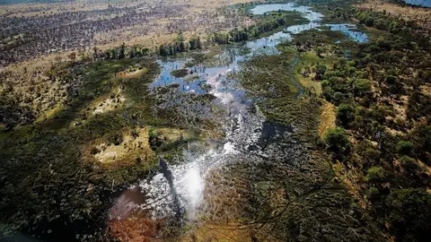 Delta del Okavango Delta del Okavango
