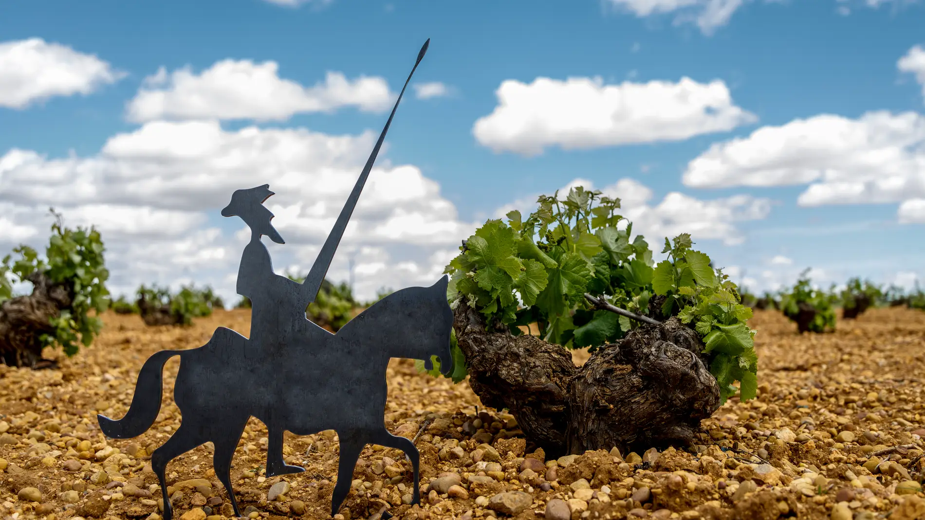 La Mancha mantiene su récord de viñedo inscrito en Denominación de Origen